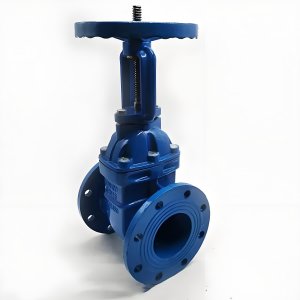 手動(dòng)閘閥Z41T-16 DN50/DN65廠家直銷，上海發(fā)